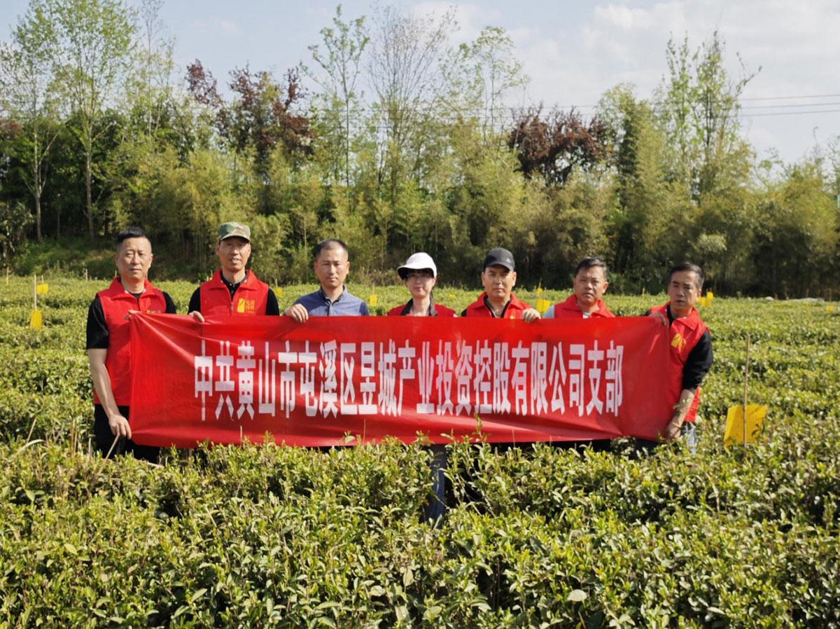 昱城產(chǎn)投公司黨支部開展“茶香潤初心，黨旗映茶園”主題黨日活動