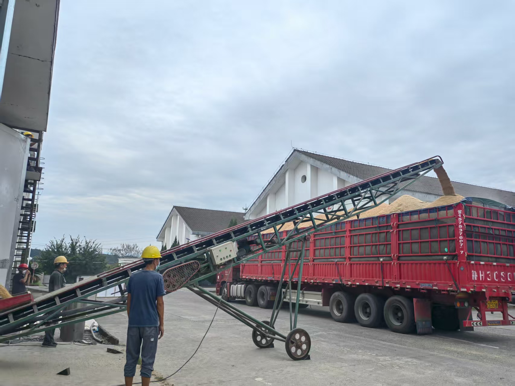 筑牢倉儲“安全線” 夯實輪換“基礎(chǔ)樁”——區(qū)國投集團(tuán)扎實守好糧食安全關(guān)