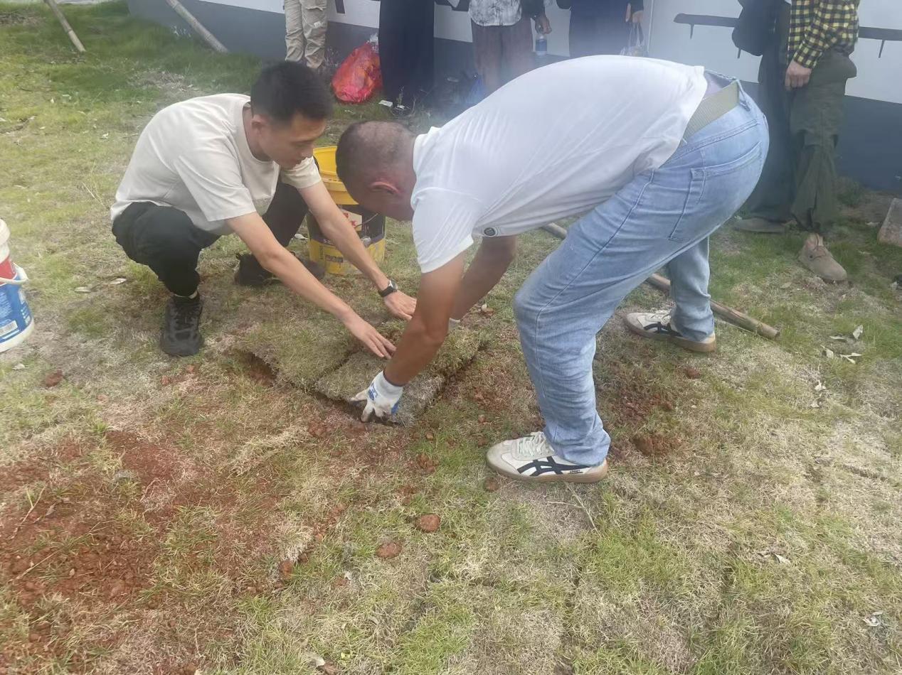 生態(tài)安葬樹新風(fēng) 鋪青疊翠映文明