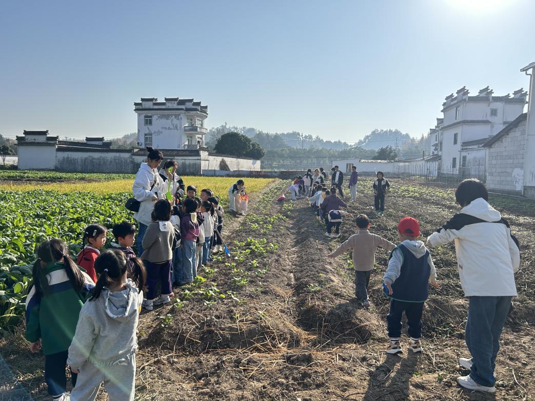以“童”為橋促振興     農(nóng)耕體驗(yàn)樂(lè)翻天