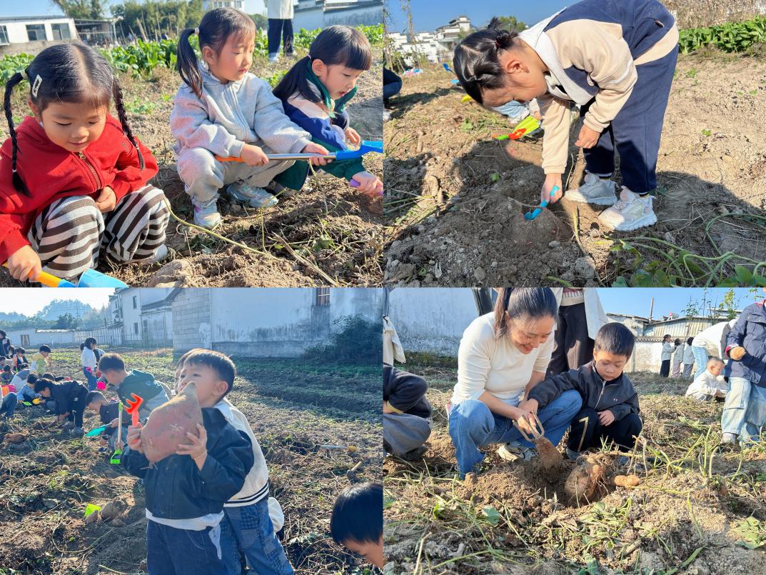 以“童”為橋促振興     農(nóng)耕體驗(yàn)樂(lè)翻天