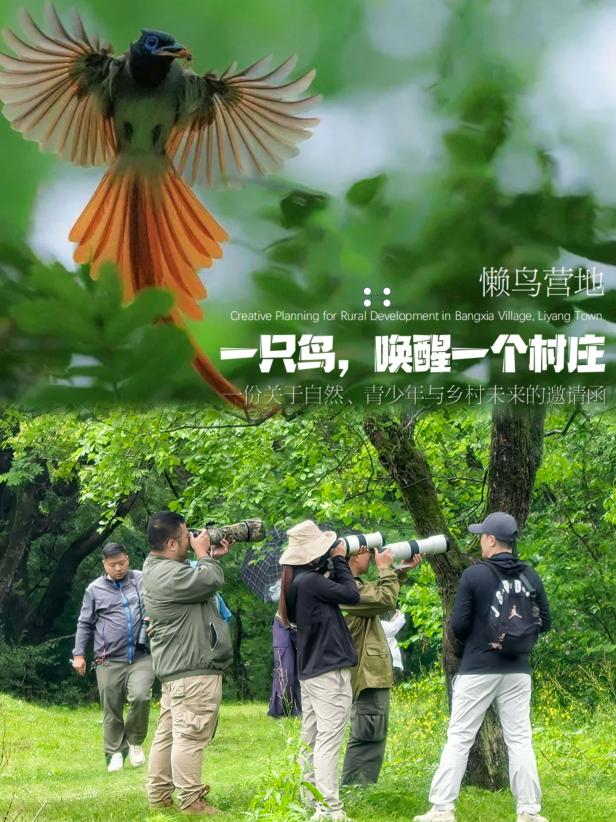 8000萬(wàn)熱度炸屏！屯溪“護(hù)村小祖宗”聯(lián)動(dòng)短劇頂級(jí)頭部平臺(tái)帶火綬帶鳥，短劇+文旅解鎖鄉(xiāng)村振興新密碼