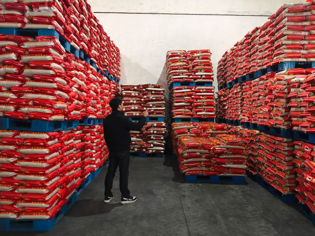 低溫應(yīng)急保供忙 屯溪區(qū)糧儲(chǔ)公司調(diào)研筑牢糧食安全防線