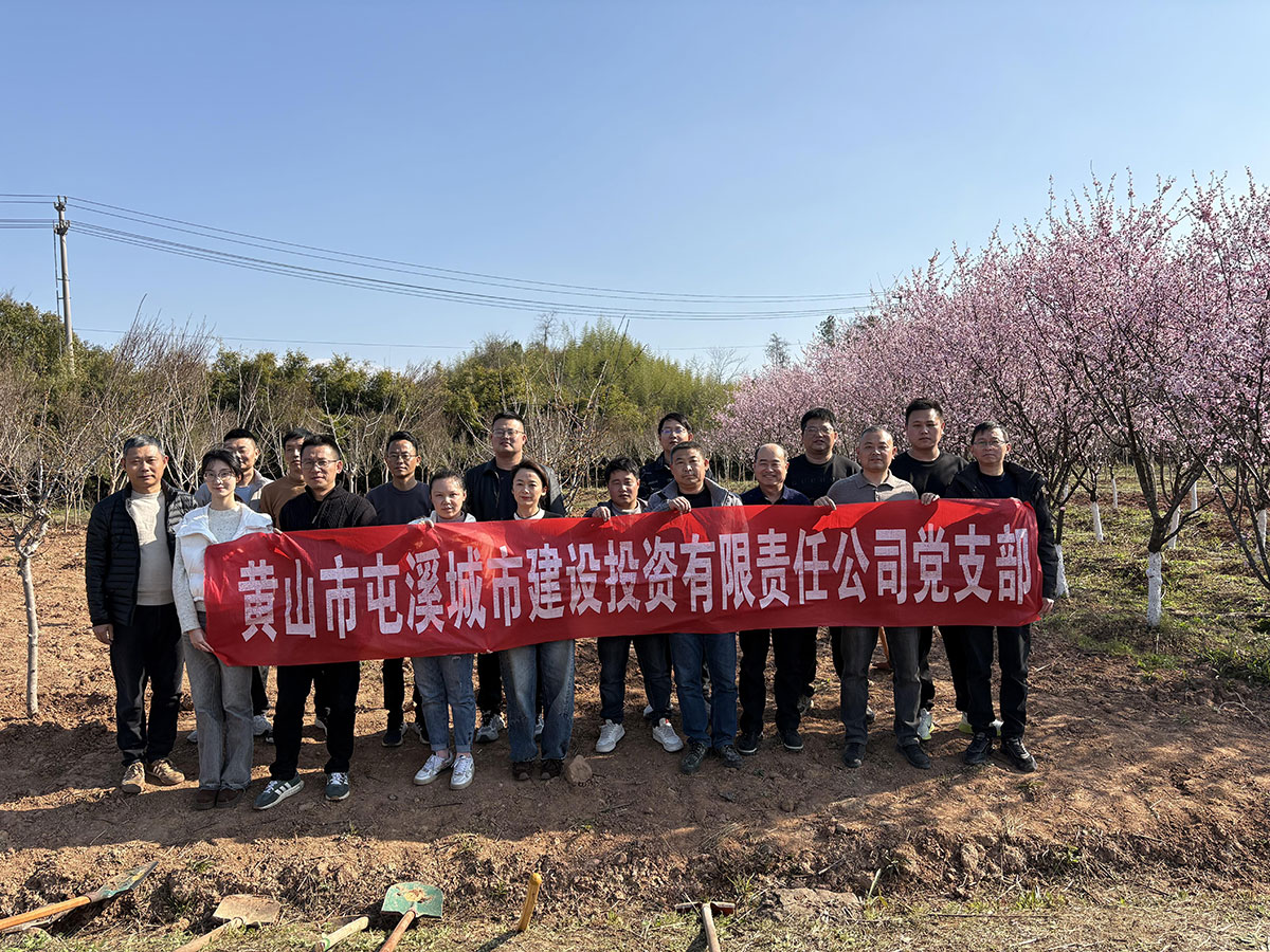 “攜手植樹聯(lián)建情”—城建投公司黨支部開展3月份主題黨日活動